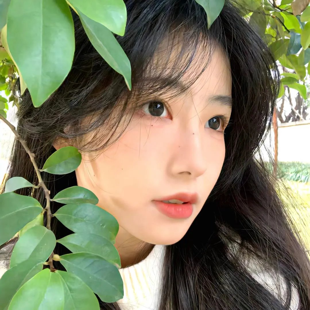 永远的守望高清剧集封面